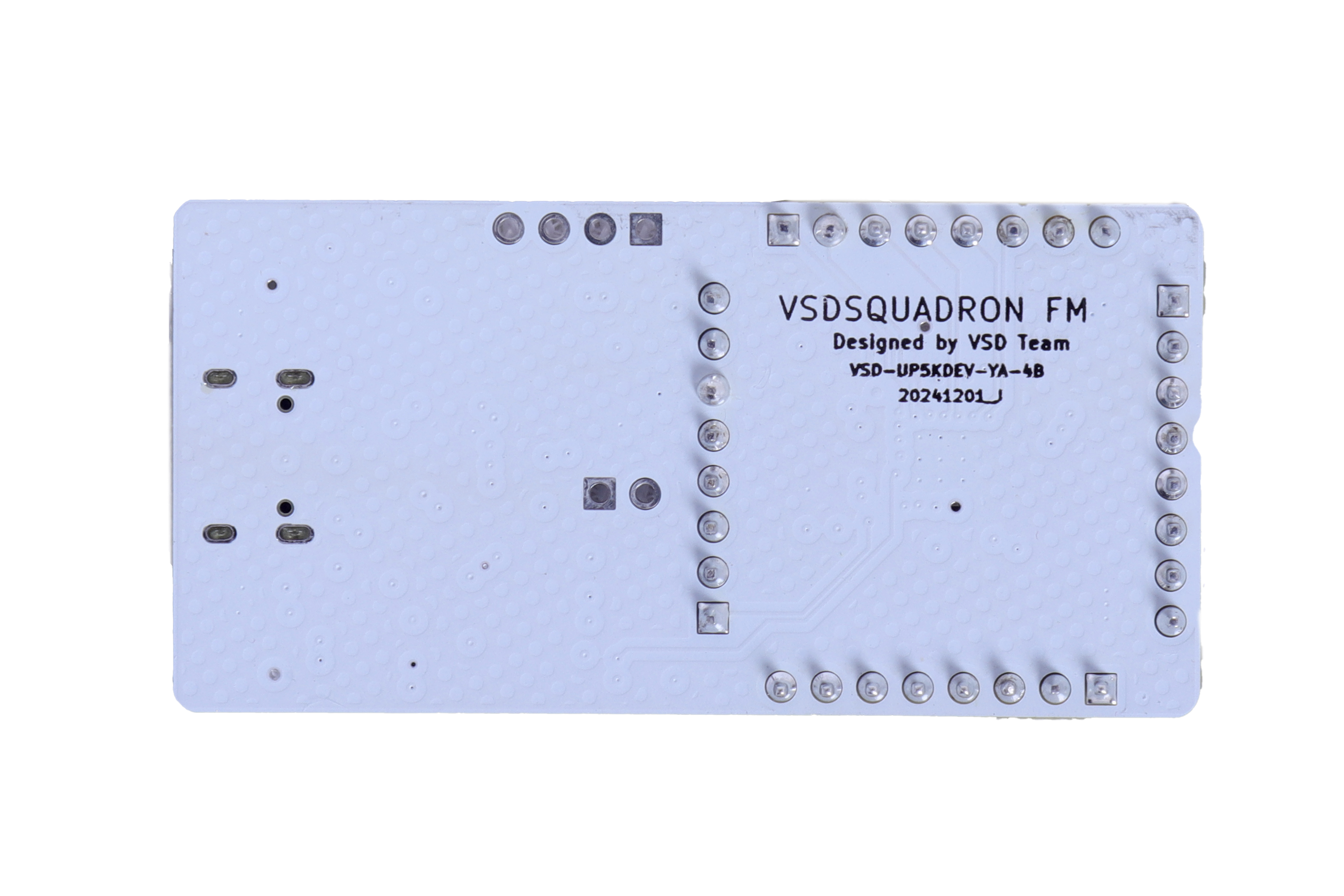 VSDSquadron FPGA Mini Back